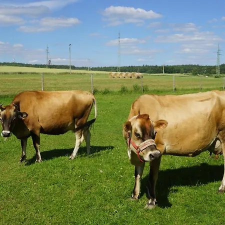 Na Farme Se Saunou A Virivkou, I S Jizdou Na Koni * Příbram